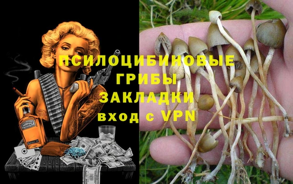 MDMA Premium VHQ Богданович