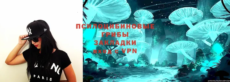 гидра   Белинский  darknet формула  Псилоцибиновые грибы MAGIC MUSHROOMS 